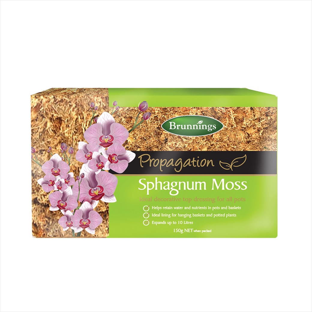 SPHAGNUM MOSS BRUNNINGS 500G