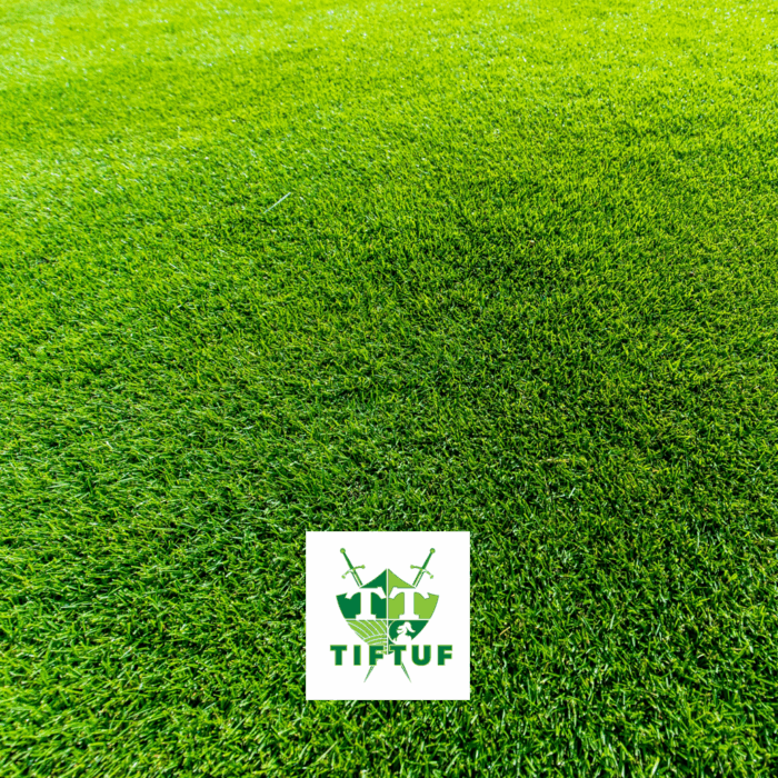 TIFTUF BERMUDA TURF TILE
