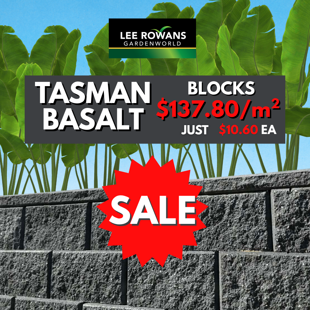 TASMAN BLOCK BASALT 390x200x225