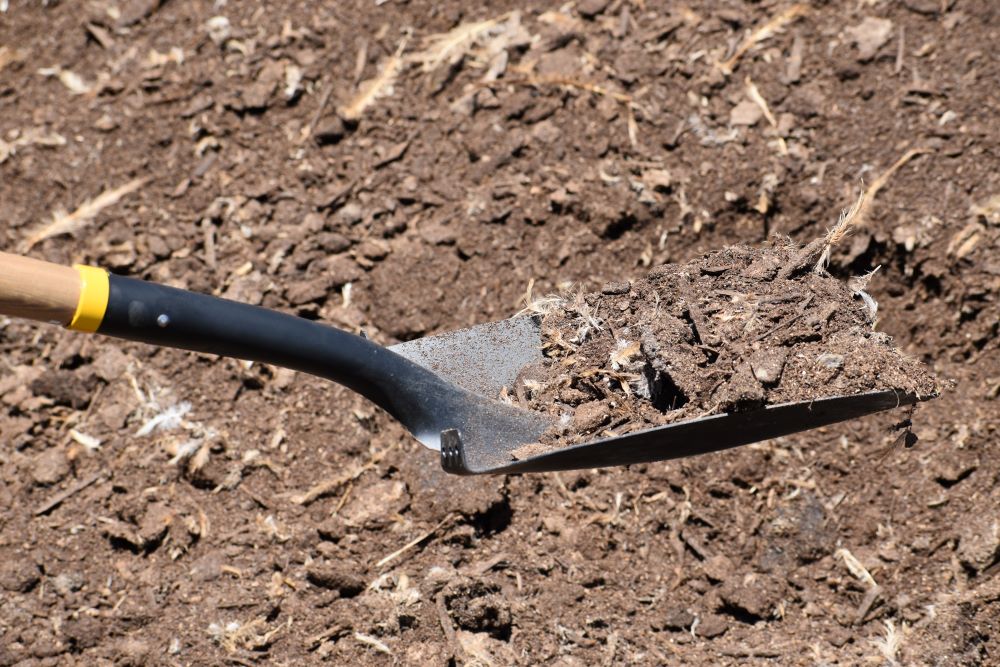 POULTRY MANURE