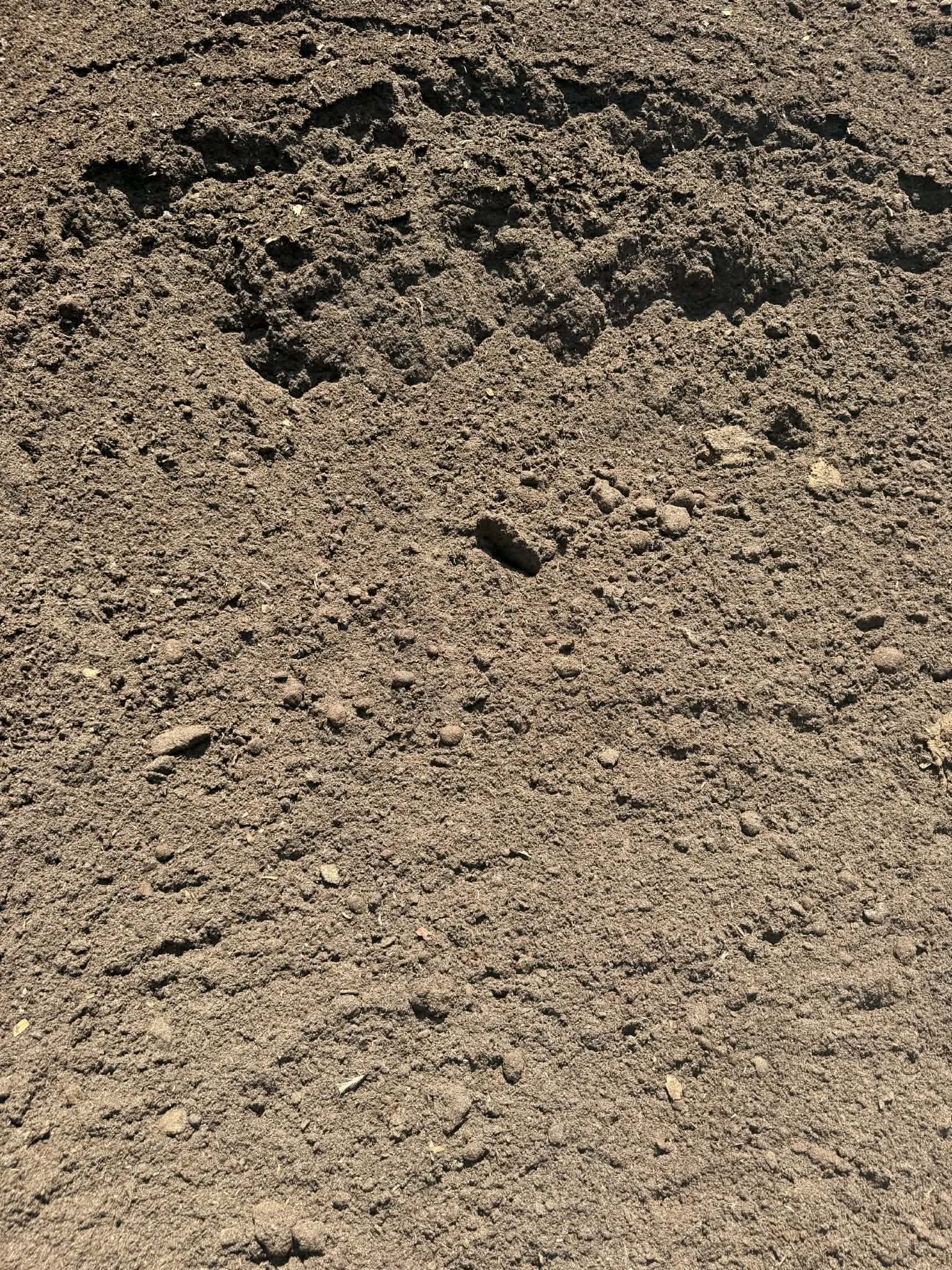 ROCKET TOP DRESSING - Image 4