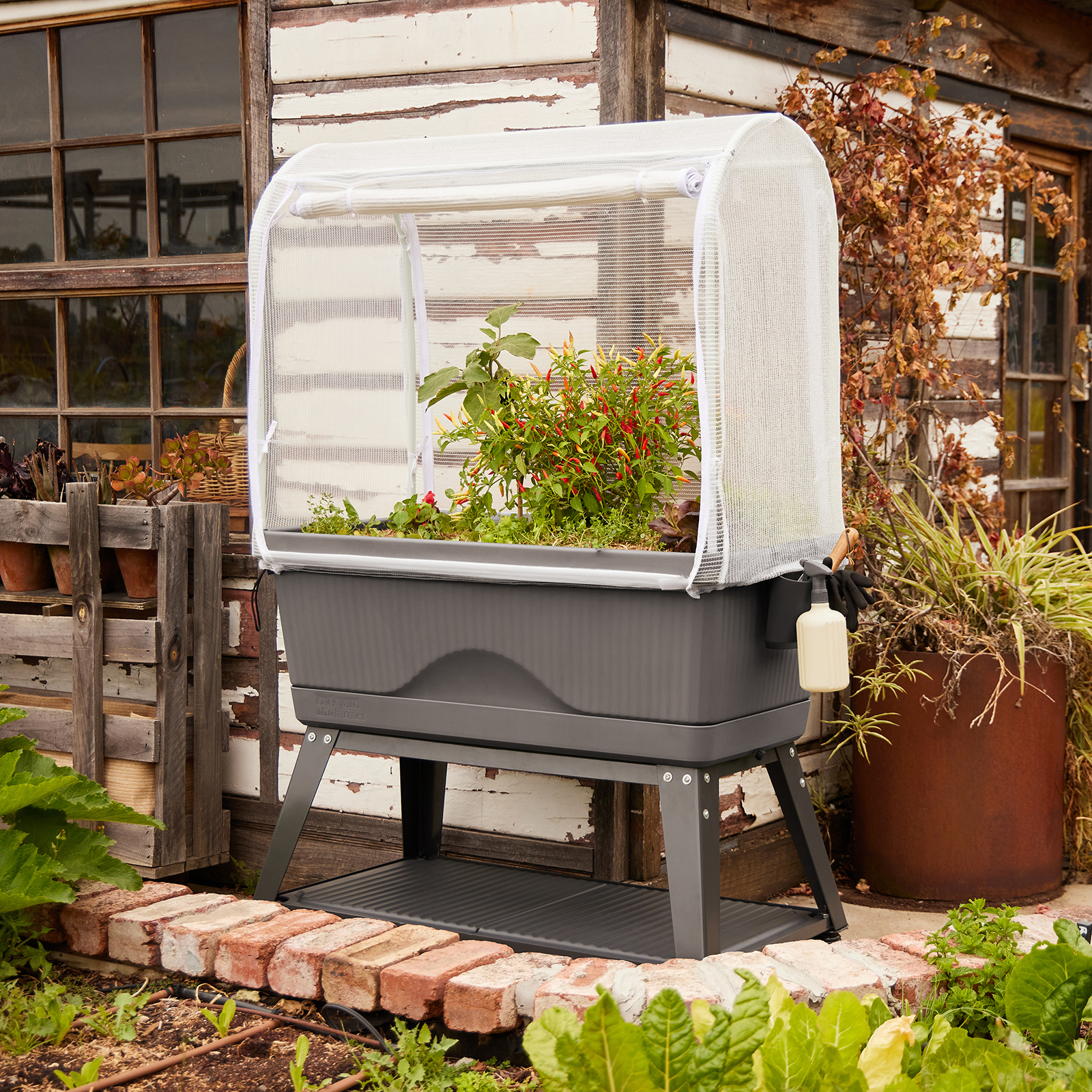 GEORGIE PLANTER KIT - GREY