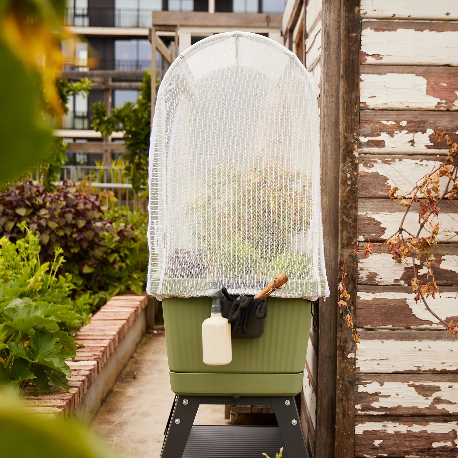 GEORGIE PLANTER KIT - GREEN