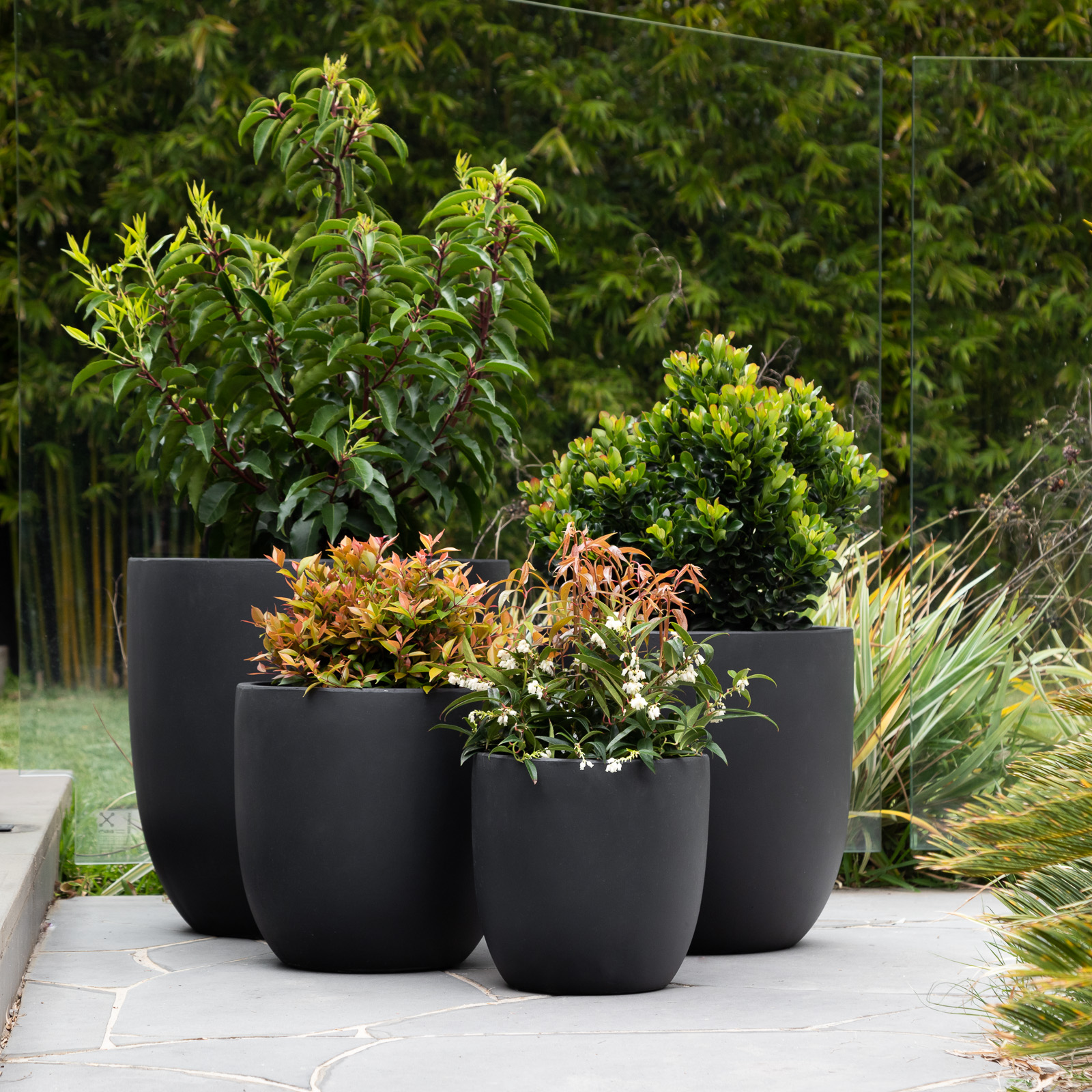 ASHER EGG JAVA SET OF 4