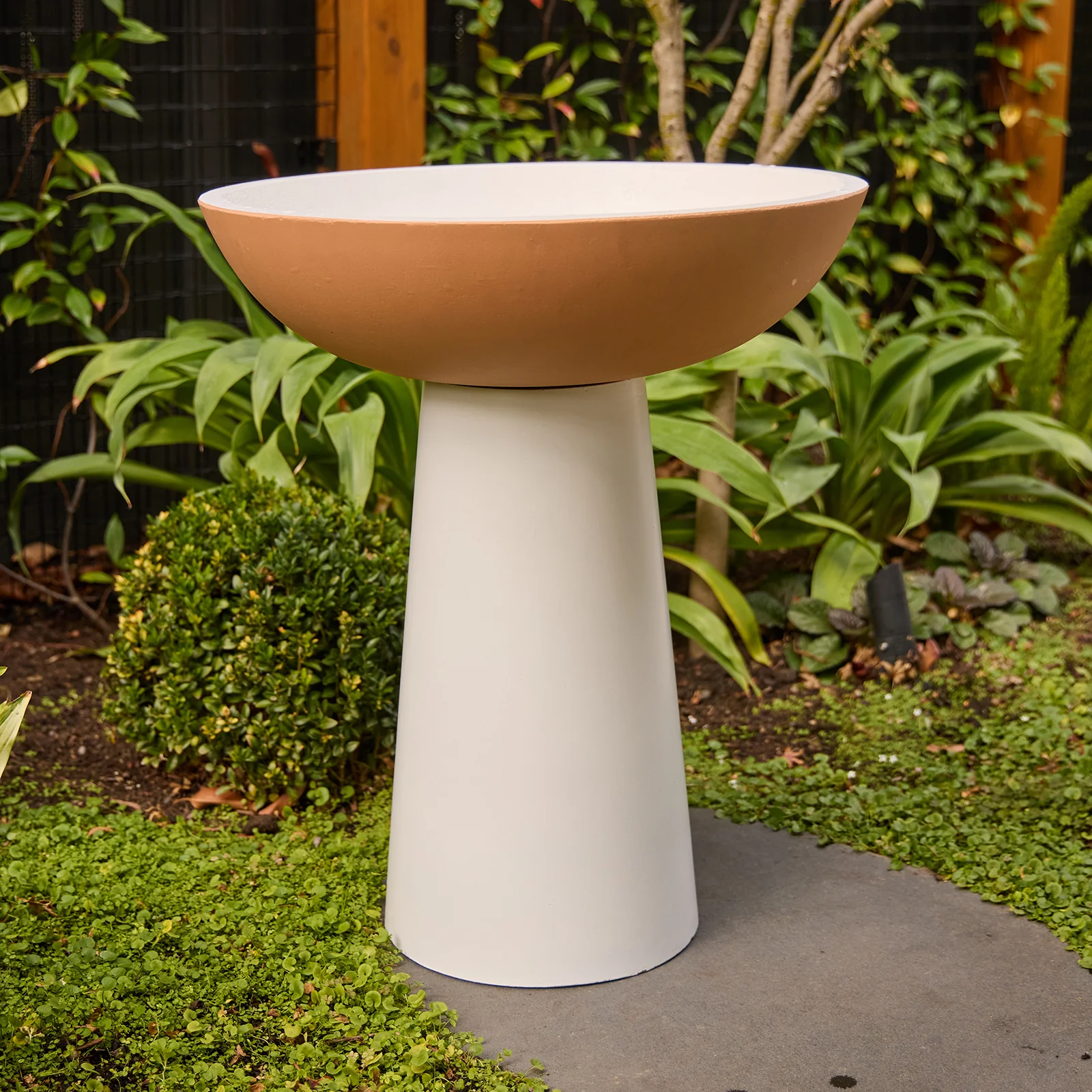 HAMMOND BIRDBATH TERACOTTA & CREAM