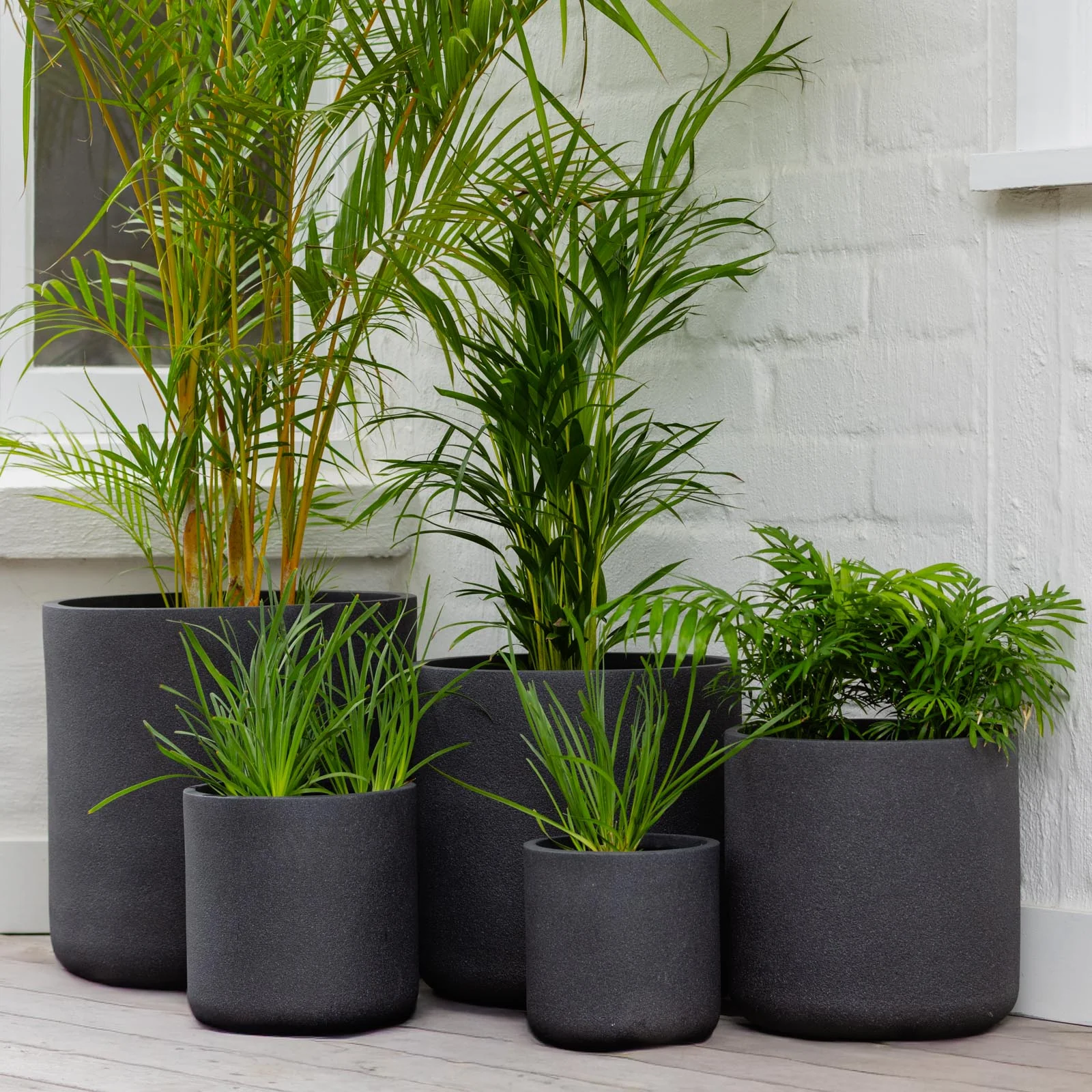 VELLUM CYLINDER SET OF 5 BLACK