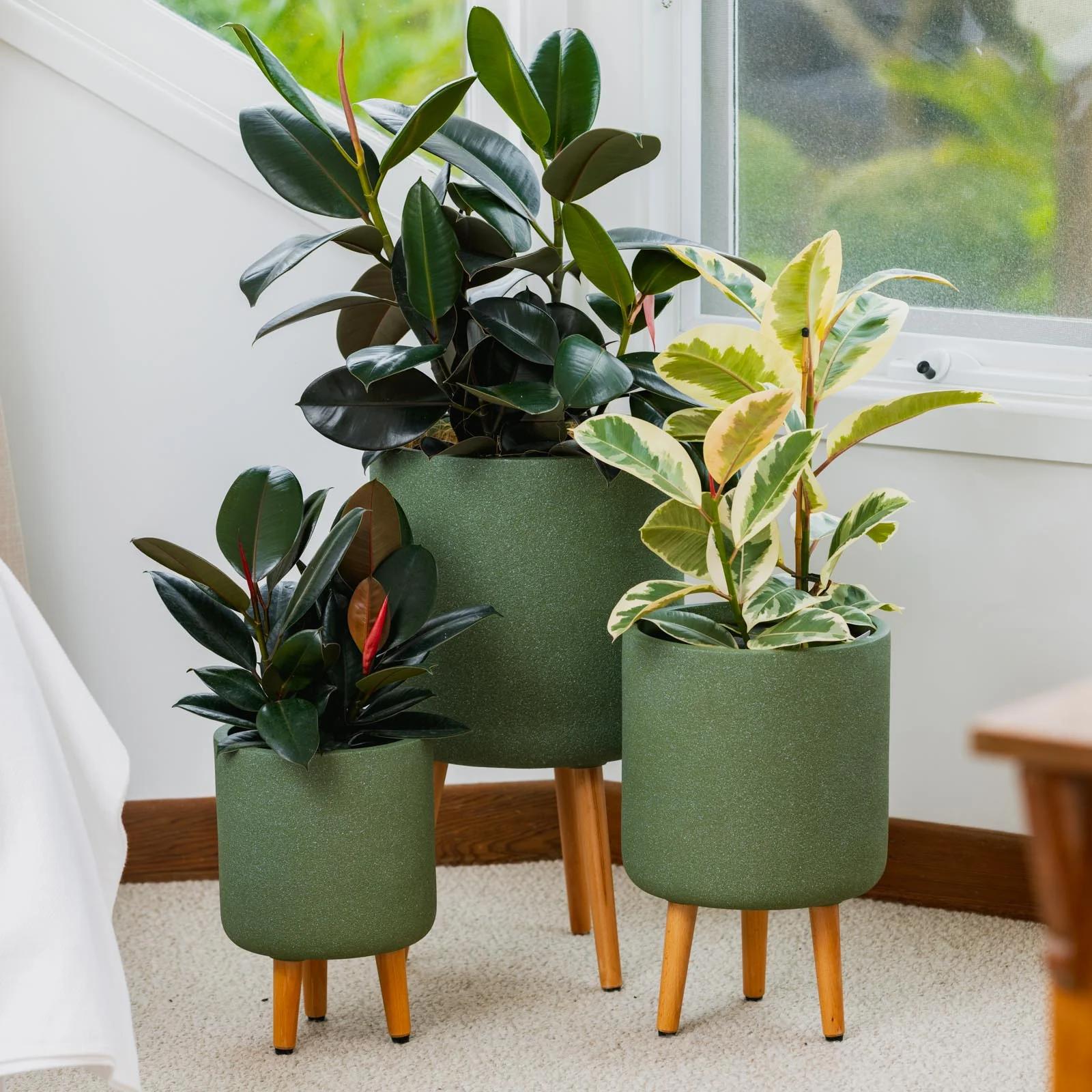 VELLUM TRIPOD SET OF 3 GREEN
