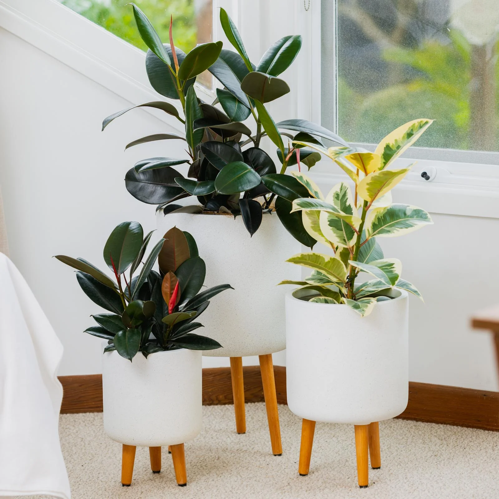 VELLUM TRIPOD SET OF 3 WHITE